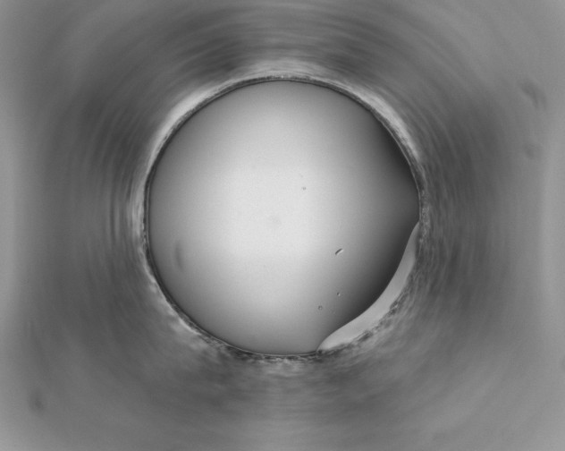 X0000112360815200909031908