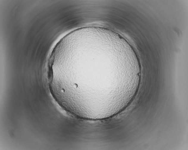 X0000112360816200909031908