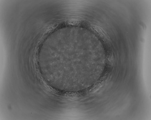 X0000112360817200909031908