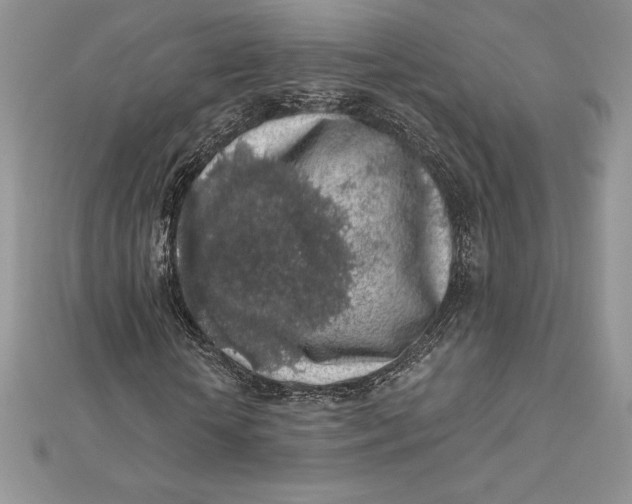 X0000112360818200909031908