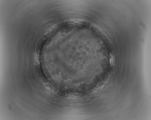 X0000112360819200909031908