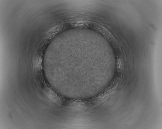 X0000112360820200909031908