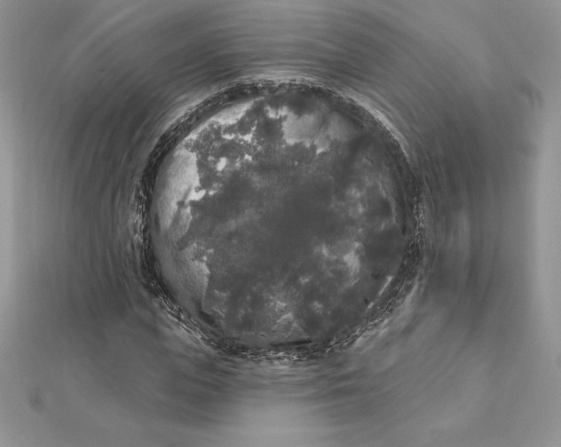 X0000112360823200909031908