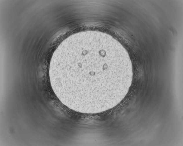 X0000112360824200909031908