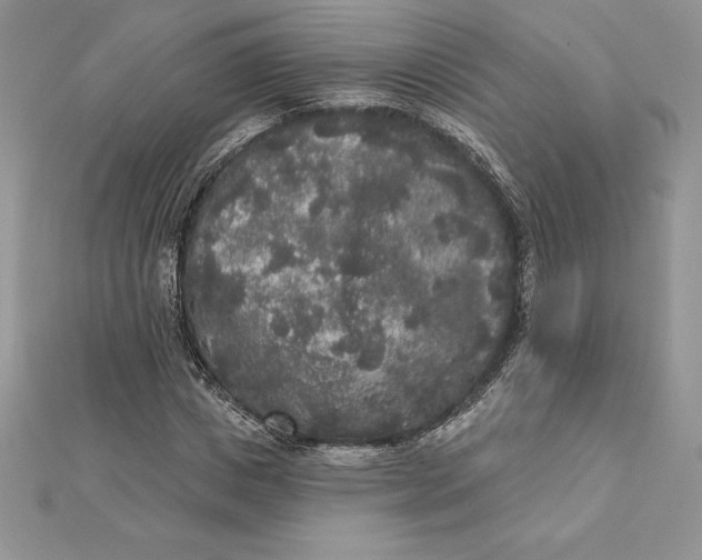 X0000112360825200909031908