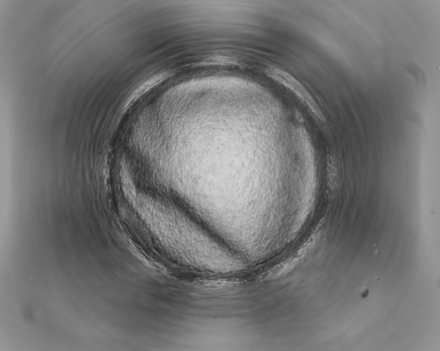 X0000112360826200909031908