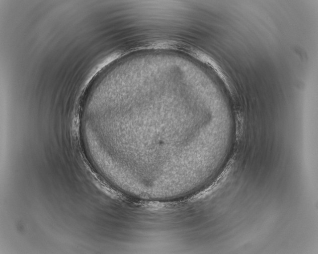 X0000112360827200909031908