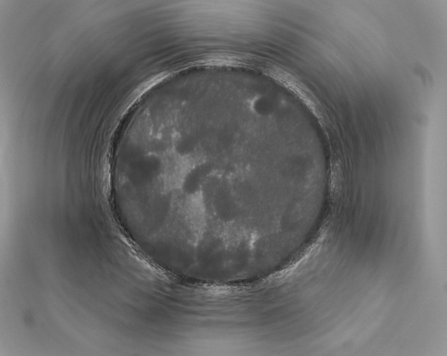 X0000112360829200909031908