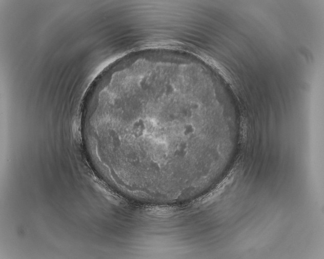 X0000112360830200909031908