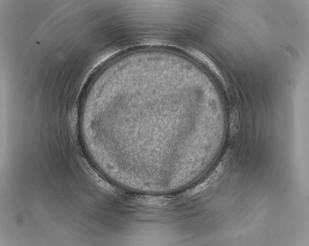 X0000112360831200909031908