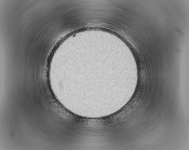 X0000112360832200909031908