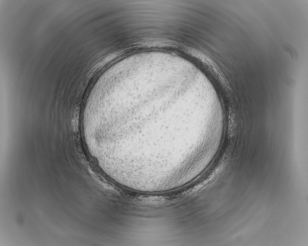 X0000112360833200909031908