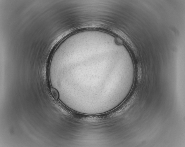 X0000112360834200909031908