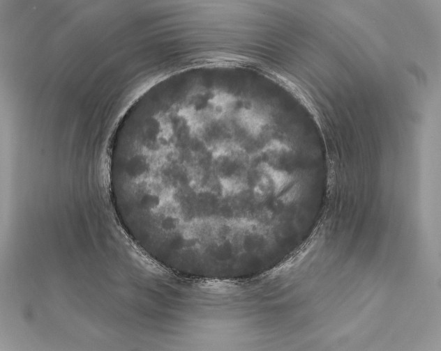 X0000112360835200909031908