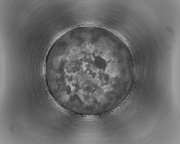 X0000112360839200909031908