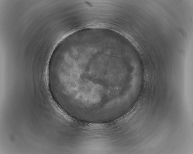 X0000112360840200909031908