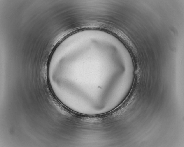 X0000112360842200909031908