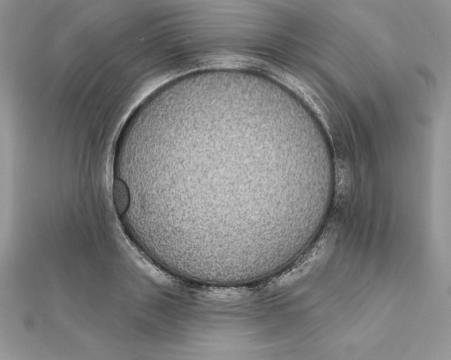 X0000112360843200909031908