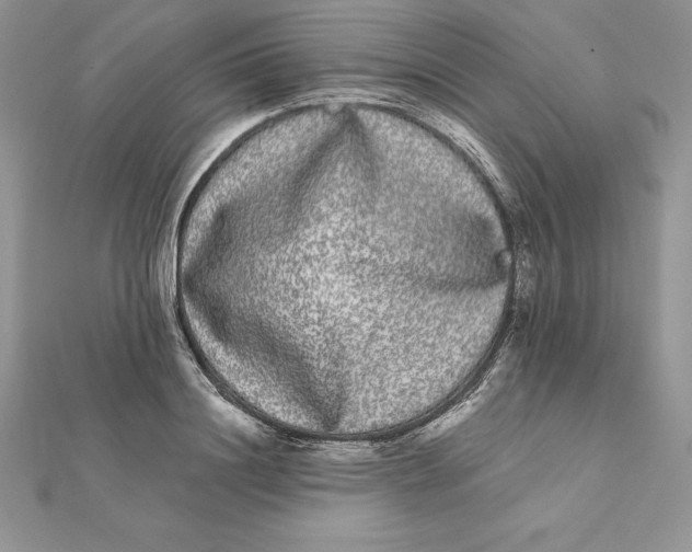 X0000112360844200909031908