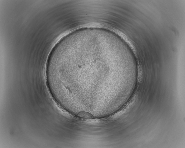 X0000112360845200909031908