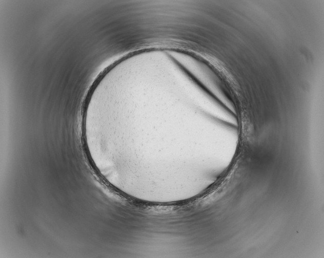 X0000112360846200909031908