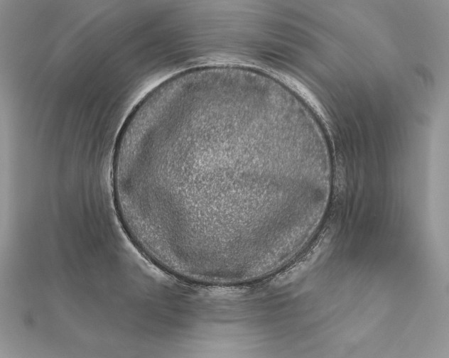 X0000112360847200909031908