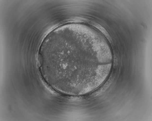 X0000112360850200909031908