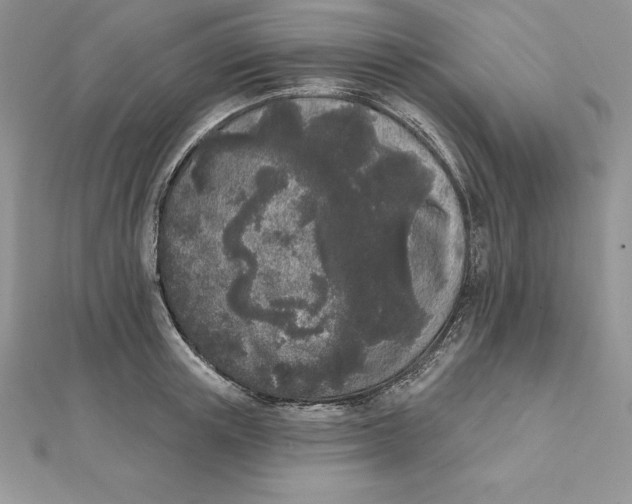 X0000112360851200909031908