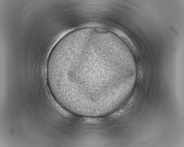 X0000112360852200909031908