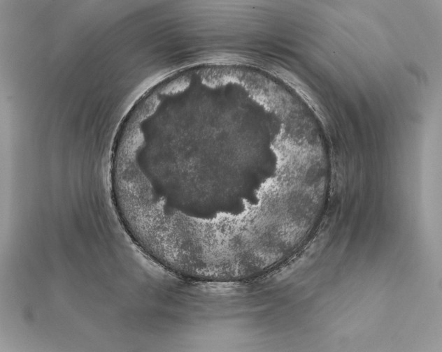 X0000112360853200909031908