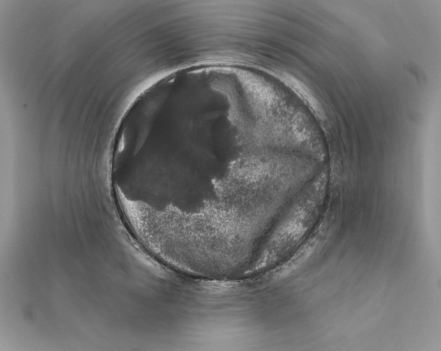 X0000112360854200909031908