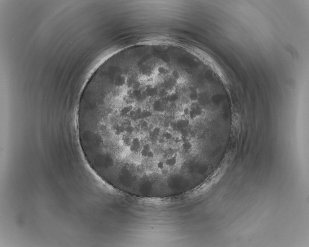 X0000112360855200909031908