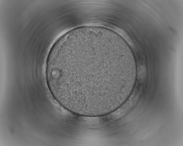 X0000112360856200909031908