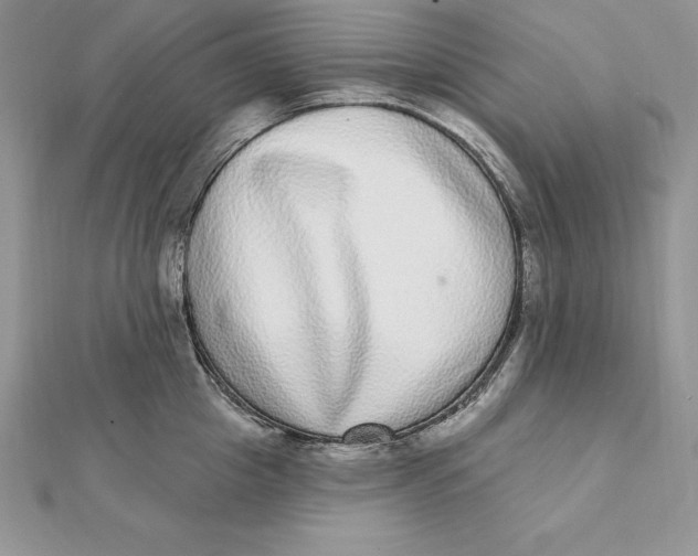 X0000112360857200909031908