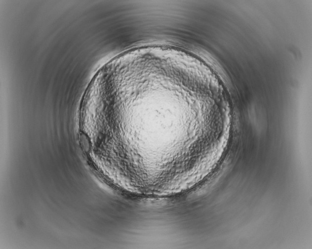 X0000112360858200909031908