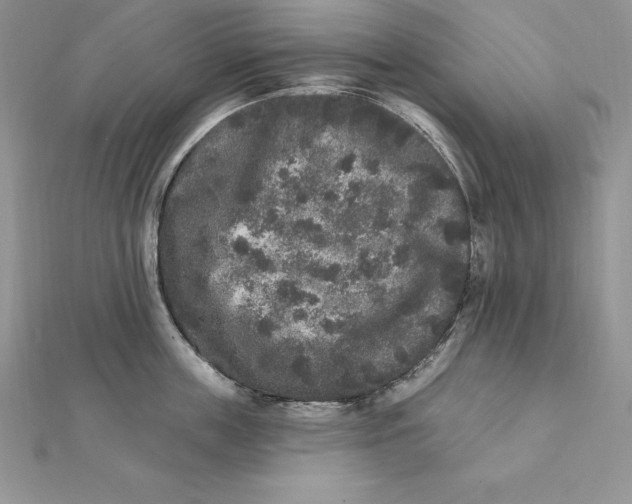 X0000112360859200909031908