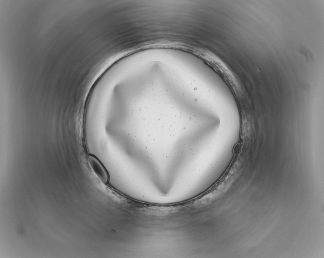 X0000112360860200909031908