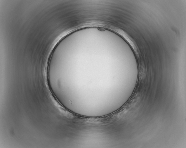 X0000112360861200909031908