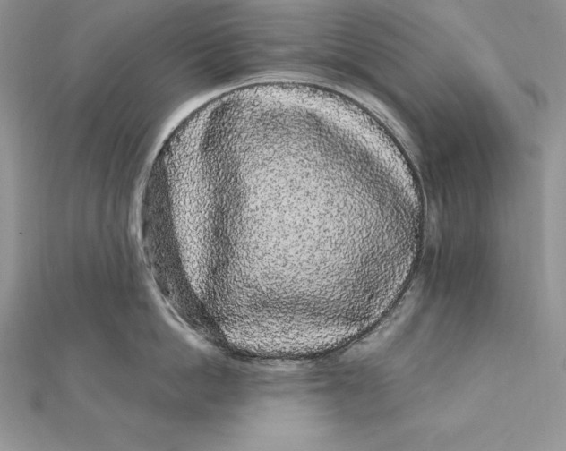 X0000112360862200909031908