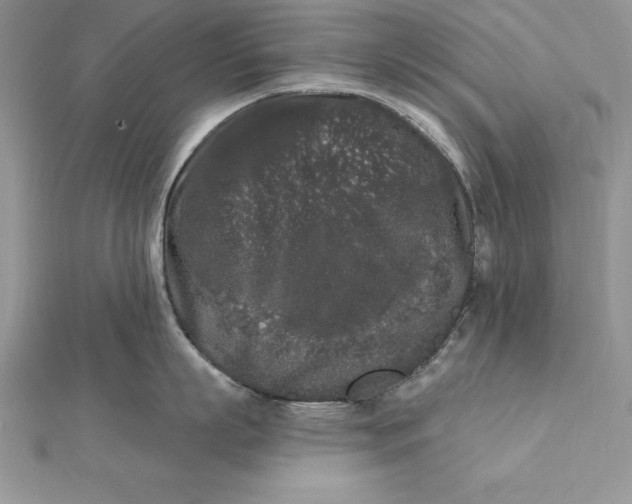 X0000112360863200909031908