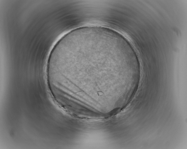 X0000112360864200909031908