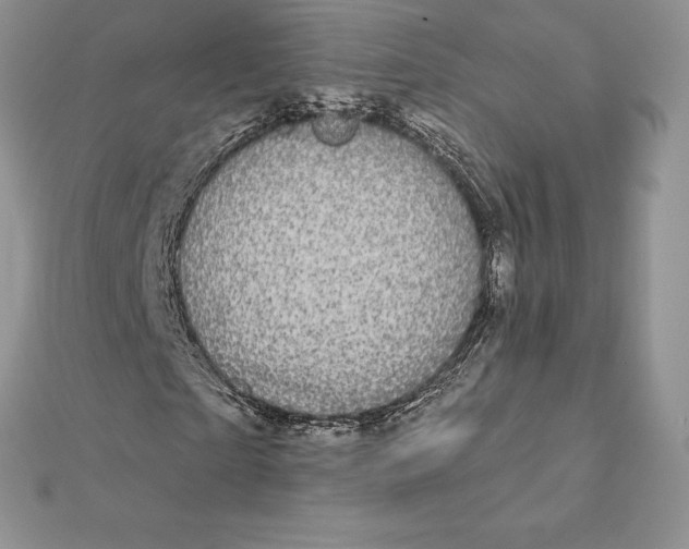 X0000112360865200909031908