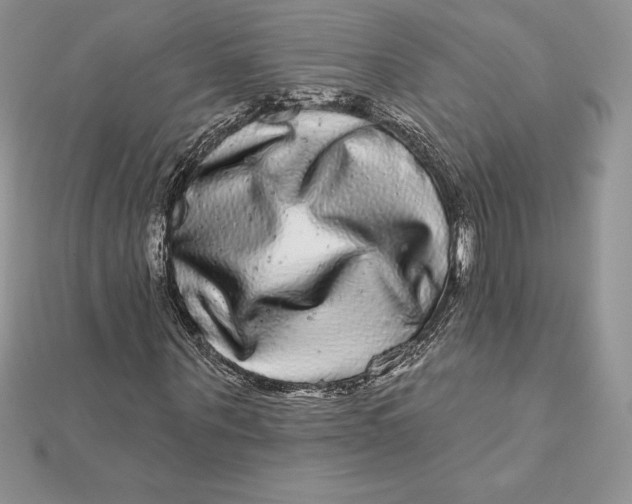 X0000112360867200909031908