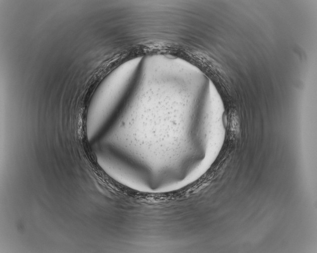 X0000112360868200909031908