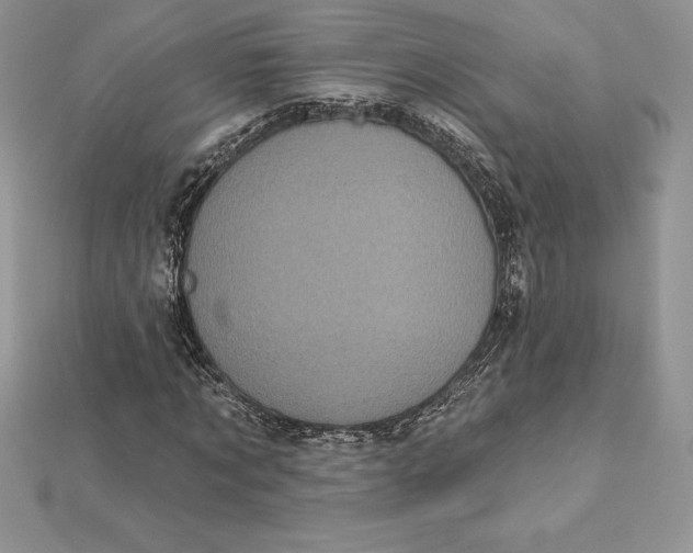 X0000112360869200909031908