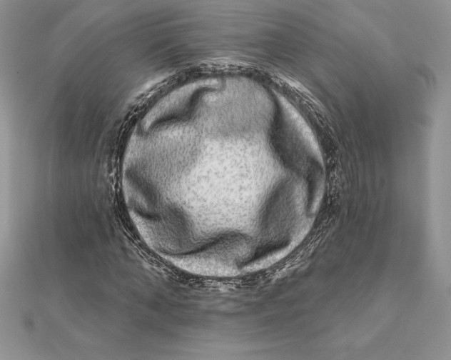 X0000112360870200909031908