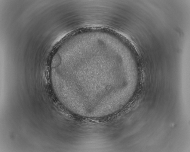 X0000112360871200909031908