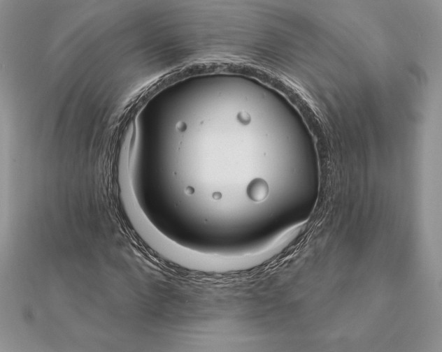 X0000112360872200909031908