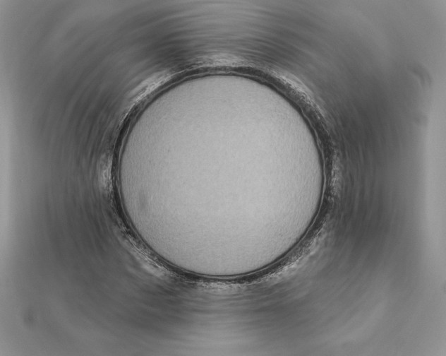 X0000112360873200909031908