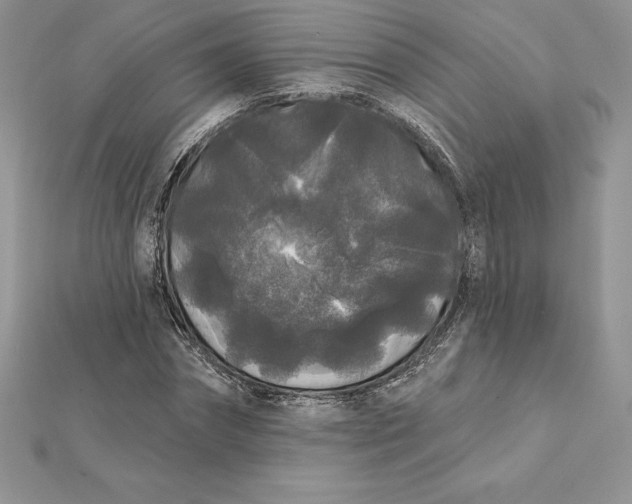 X0000112360874200909031908